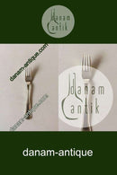 コアー社製ダブルリブランチフォーク