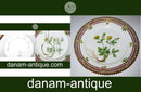 Antik Kgl. Porzellan Flora Danica Beilagenteller Nr. 3552 (2)