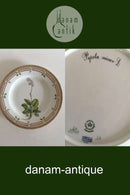 Royal Copenhagen Flora Danica Dinner Plate No 3549