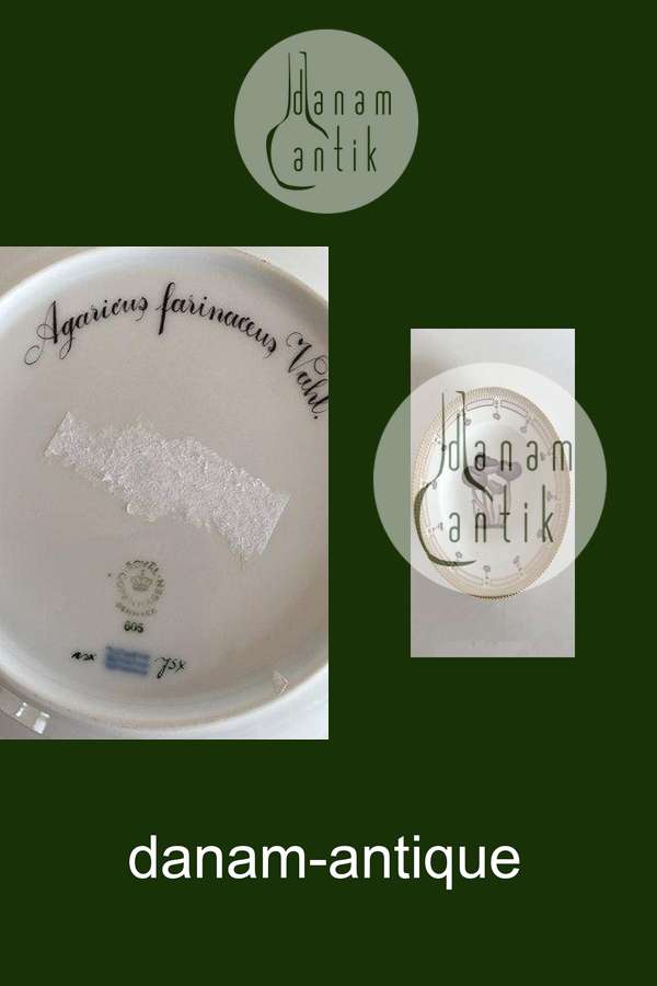 ロイヤルコペンハーゲン フローラダニカ ディナープレート きのこ