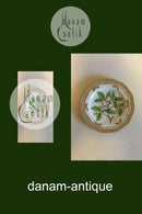 Royal Copenhagen Flora Danica Mittagsteller mit durchbrochenem Rand Nr. 20/3533