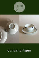 Royal Copenhagen Sirius Tea Cup and Saucer No 084