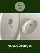 Bing & Grondahl Eranthis Oval Large Platter No 15