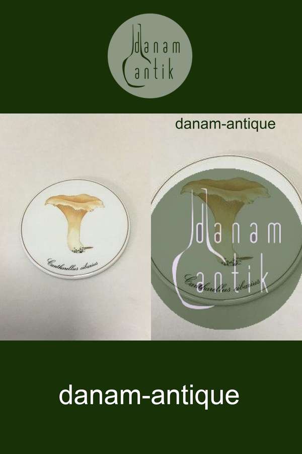 Bing & Grøndahl Svampeplatte 3513/949