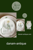 Royal Copenhagen Flora Danica Kuchenteller Nr. 735/3551