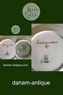 Royal Copenhagen Flora Danica Lunch Plate No 735/3550