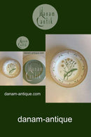 Royal Copenhagen Flora Danica Teller Nr. 20/3549