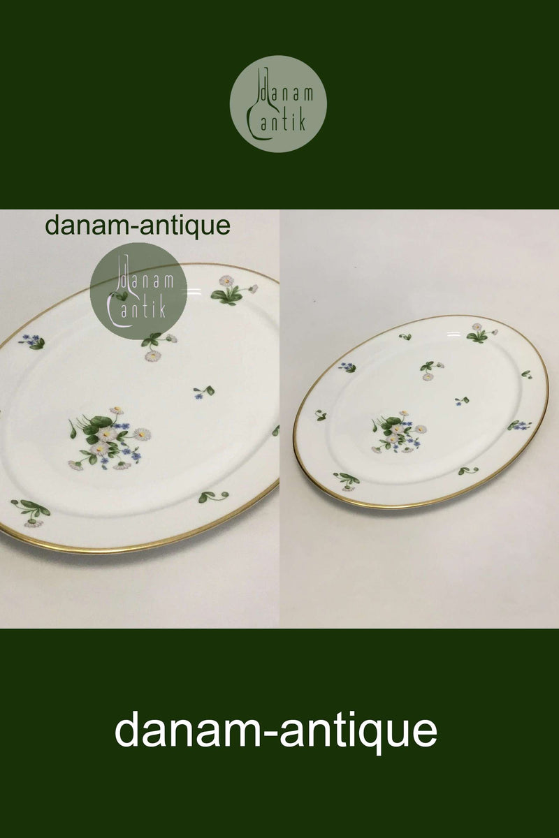 Royal Copenhagen Bellis og Følfod Ovalt fad No 9009