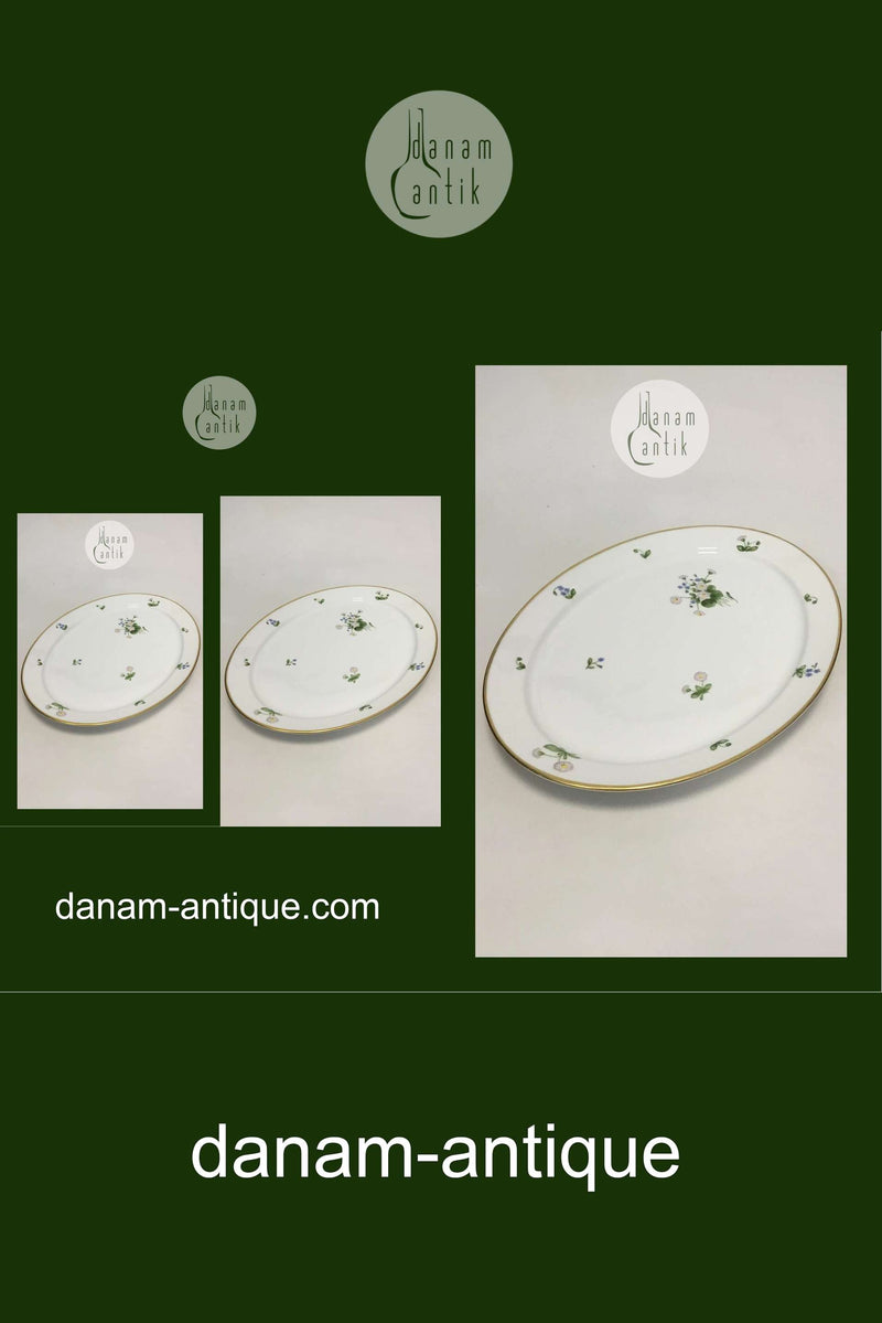 Royal Copenhagen Bellis og Følfod Stort ovalt fad No 9010