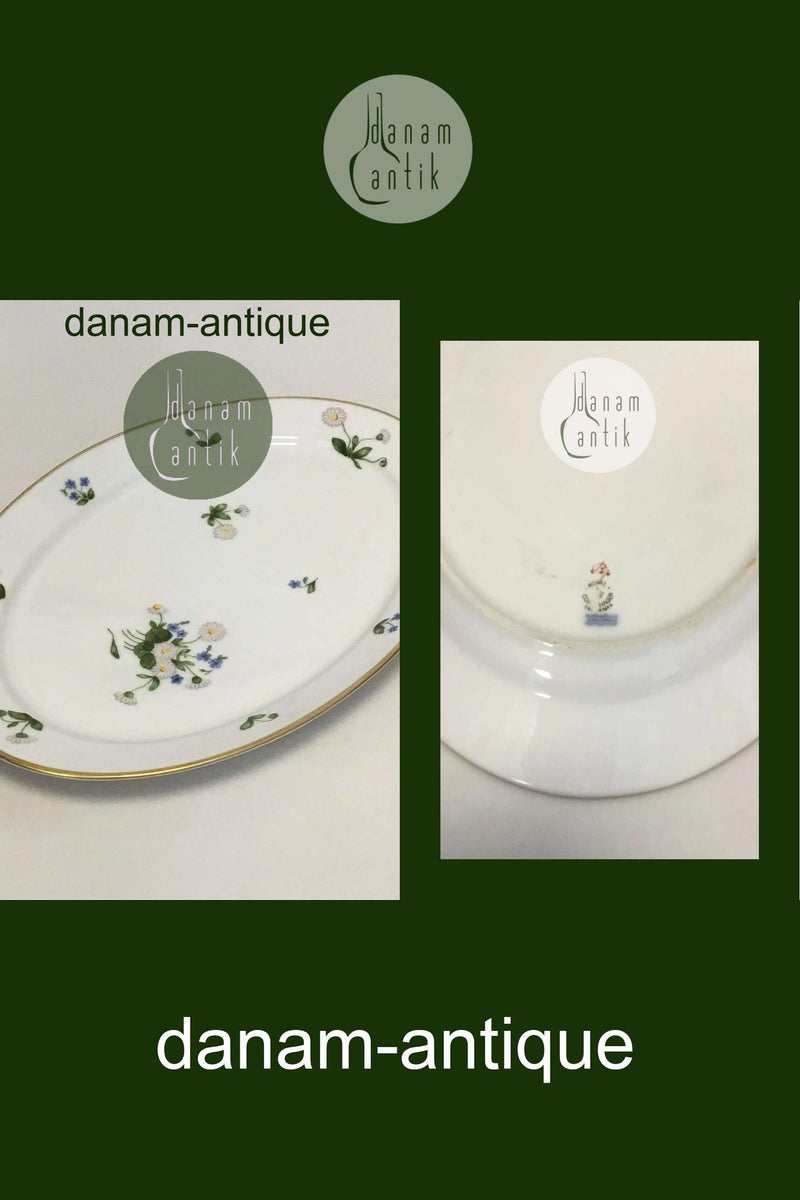 Royal Copenhagen Bellis og Følfod Stort ovalt fad No 9011