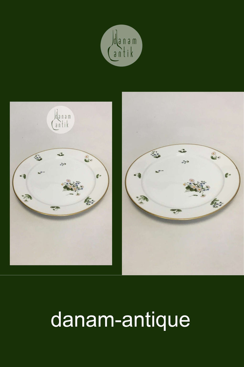 Royal Copenhagen Bellis og Følfod Stort rundt fad