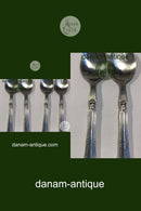 Cohr Herregaard Silver / Steel Salad Set