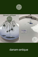 Royal Copenhagen Art Nouveau Platte sø motiv No 948