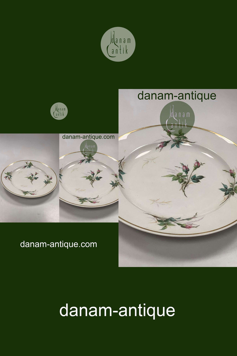 Bing og Grøndahl Antik Rosen Stel Stort rundt fad