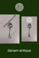 Aakande Grapefrugtske i Sølv