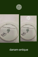 Bing og Grøndahl Platte Odense Sporveje 1911 - 1952