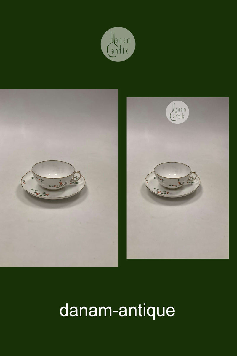 Royal Copenhagen Berberis Lille Thekop med underkop