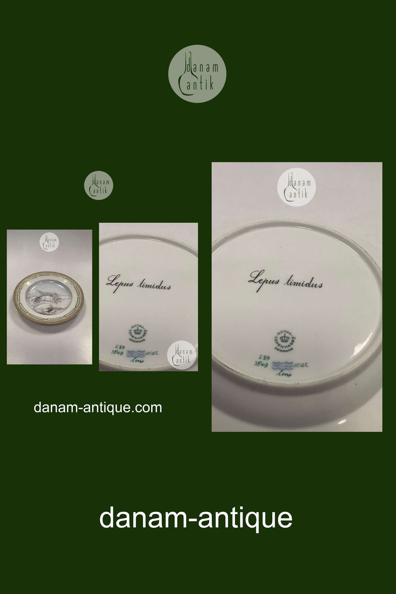 Flora Danica Jagtstel Middagstallerken No 239/3549 Snehare