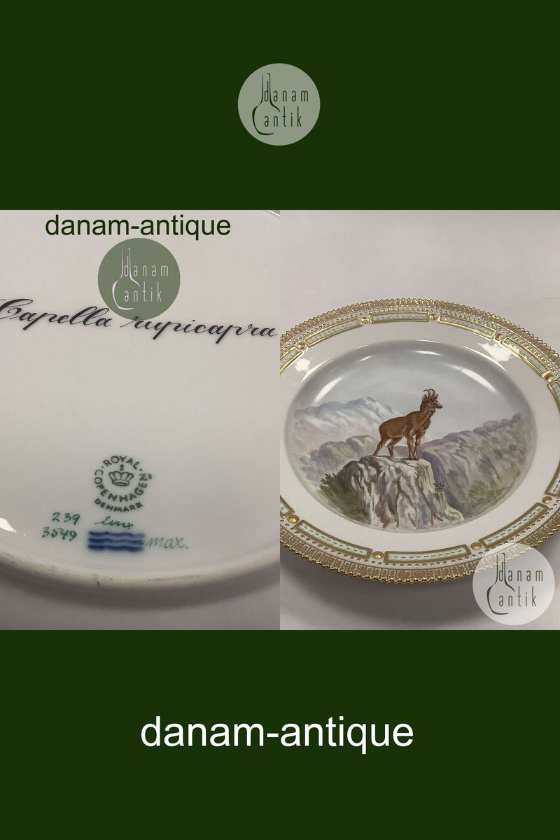 Flora Danica Jagtstel Middagstallerken No 239/3549 Gemse