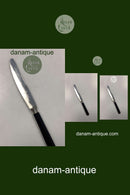 Junker Werk Solingen Stainless Spisekniv