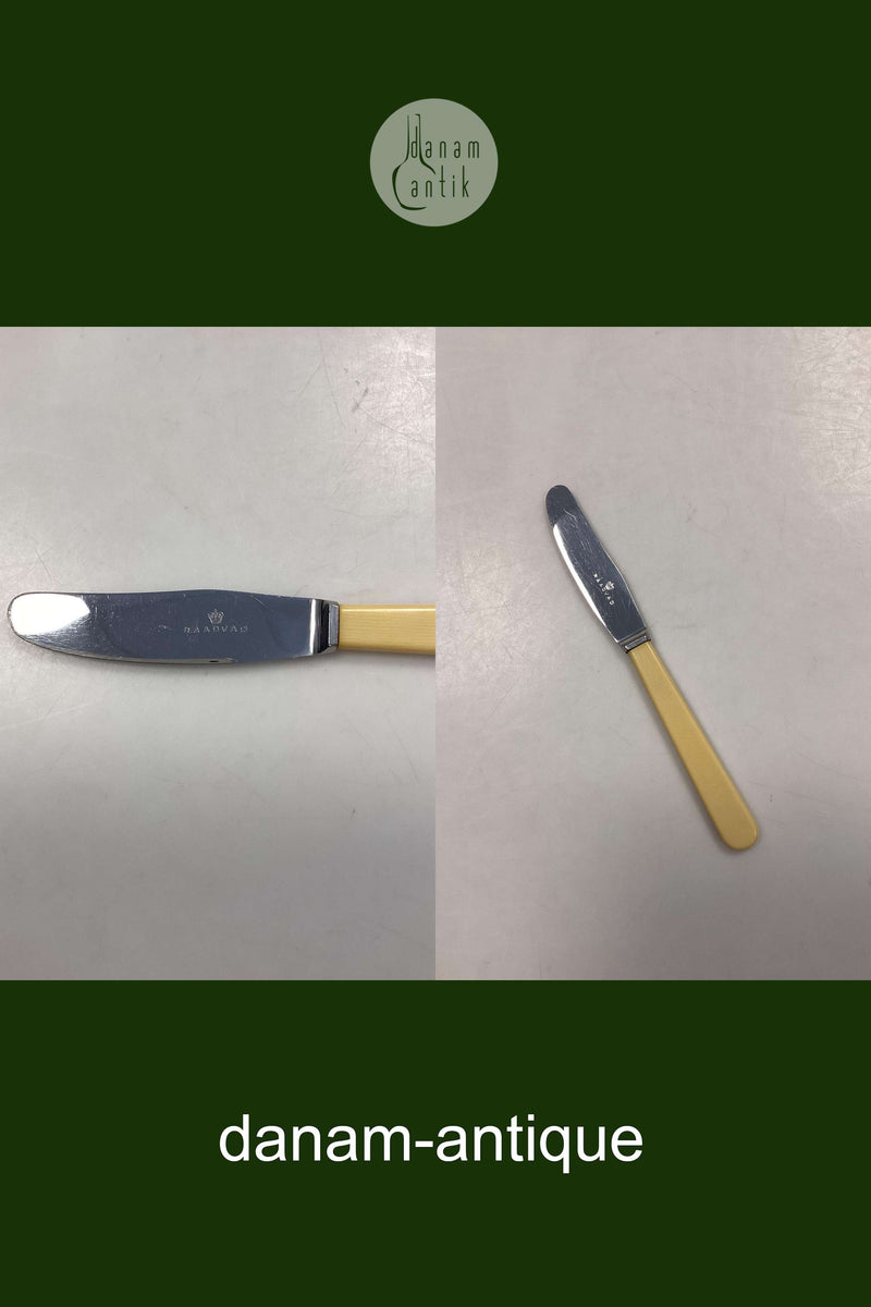 Raadvad Rustfri Spisekniv - 21 cm