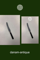 Raadvad Rustfri Spisekniv - 24,3 cm