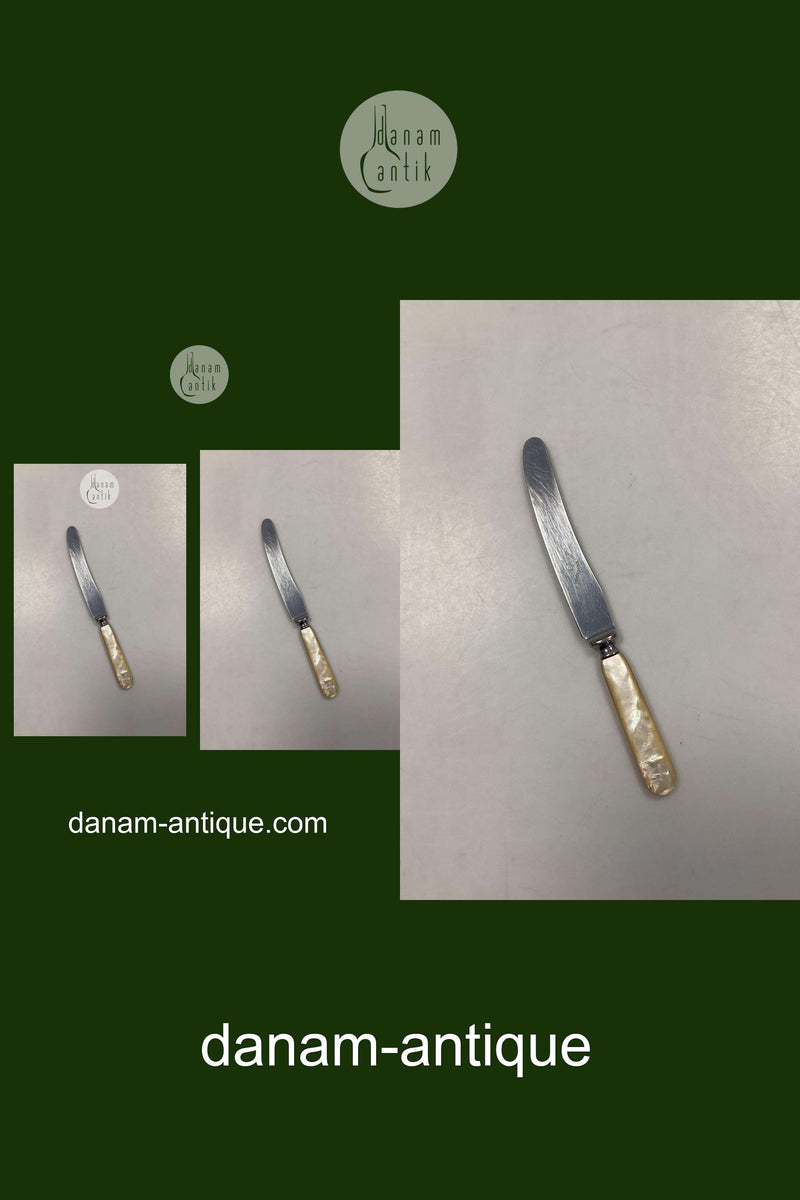 Raadvad Rustfri Spisekniv - 23,2 cm