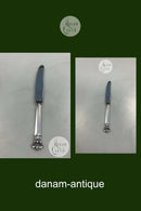 Cohr Monica Rejsekniv i Sølv / Stål