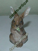 皇家哥本哈根的兔子图&