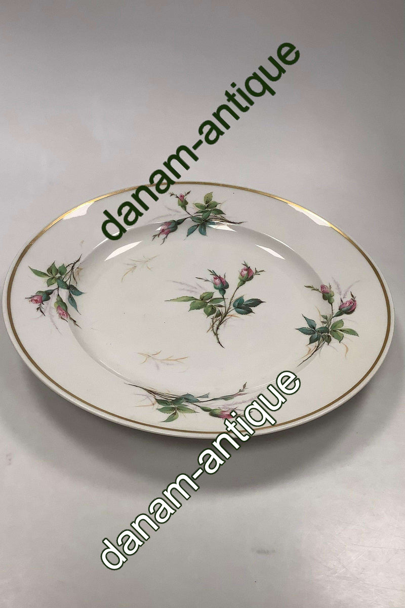 Bing og Grøndahl Antik Rosen Stel Stort rundt fad