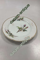 Bing og Grøndahl Antik Rosen Stel Spisetallerken