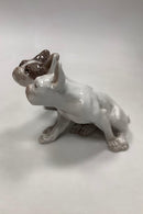 Royal Copenhagen Figur af Par Franske Bull Dogs No 1452 / 957 Knud Kyhn - Danam Antik