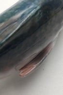 Royal Copenhagen Unika Figur af Torsk / Fisk signeret at Hallin i 1889 unika nummer 1240 - Danam Antik