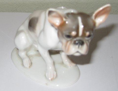 Rosenthal Fransk Bulldog i porcelæn på base - Danam Antik