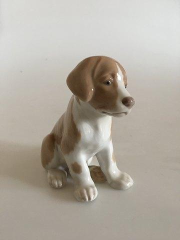 Bing & Grøndahl Figur Hundehvalp No 1926 - Danam Antik
