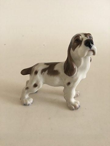 Lyngby Porcelæns Figur Cocker Spaniel Hund No 72 - Danam Antik