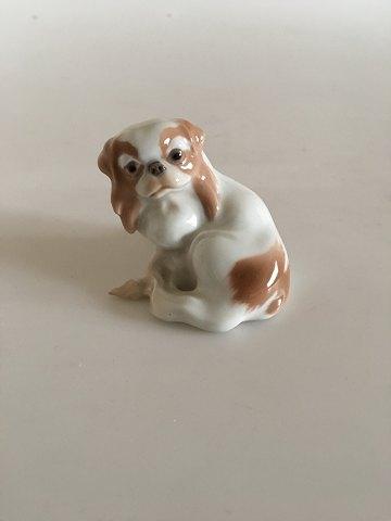 Bing & Grøndahl Figur Pekingeser No 1986 - Danam Antik