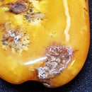 Antik Butterscotch opak rav vedhæng fra Baltic Sea. Længde 7.5 cm. Vægt 16.4 gram - Danam Antik