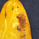 Antik Butterscotch opak rav vedhæng fra Baltic Sea. Længde 7.5 cm. Vægt 16.4 gram - Danam Antik