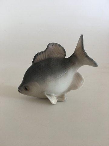 Royal Copenhagen Figurine af Fisk No. 2553 - Danam Antik