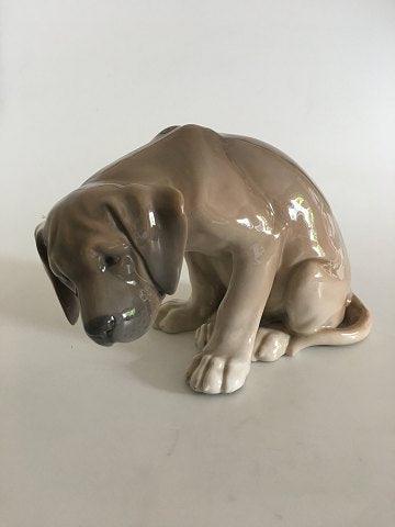 Royal Copenhagen Figurine af Hund "Bob" No. 318 - Danam Antik