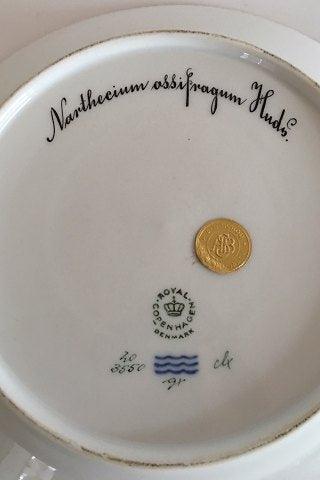 Kongelig Porcelæn Flora Danica Frokost Tallerken 20/3550 nyt nummer 622 - Danam Antik