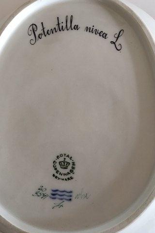 Kongelig Porcelæn Flora Danica Bladformet skål med håndtag 20/3541 nyt nummer 357 - Danam Antik