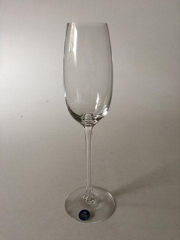 "Fontaine" Champagneglas. Holmegaard / Royal Copenhagen - Danam Antik