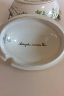 Royal Copenhagen Flora Danica Terrin No 3558 - Danam Antik