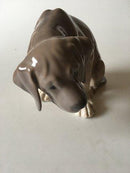 Royal Copenhagen Figur labrador Hvalp "Bob" No 318 - Danam Antik