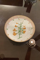 Stort Fantastisk Gammelt Royal Copenhagen Flora Danica Sæt 71 dele - Danam Antik