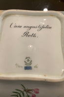 Stort Fantastisk Gammelt Royal Copenhagen Flora Danica Sæt 71 dele - Danam Antik