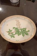 Stort Fantastisk Gammelt Royal Copenhagen Flora Danica Sæt 71 dele - Danam Antik