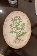 Stort Fantastisk Gammelt Royal Copenhagen Flora Danica Sæt 71 dele - Danam Antik